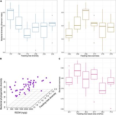 Environmental Stress and the Primate Microbiome: Glucocorticoids Contribute to Structure Gut Bacterial Communities of Black Howler Monkeys in Anthropogenically Disturbed Forest Fragments
